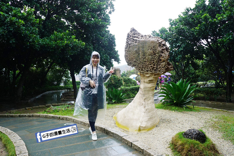 G子X哈旅行 台北包車一日遊.野柳地質公園 女王頭2