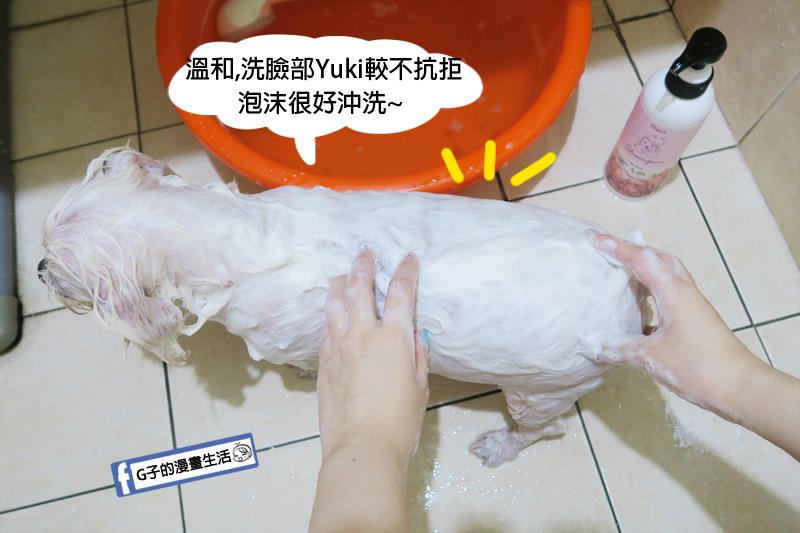 Sipet 寵物洗毛精 天然礦物能量-戀香櫻花.狗狗洗髮精.毛小孩推薦寵物沐浴乳 Sipet 寵物洗毛精 天然礦物能量-戀香櫻花.狗狗洗髮精.毛小孩推薦寵物沐浴乳