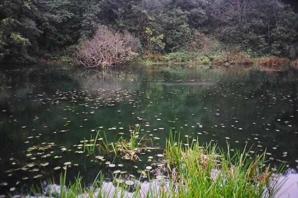 福山植物園