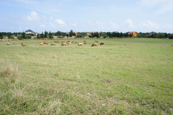 i027 i027