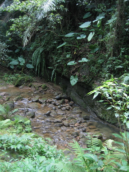 獅頭山-清澈的河水