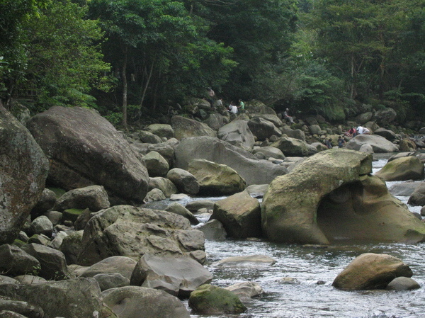 護魚步道