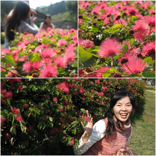 新社莊園