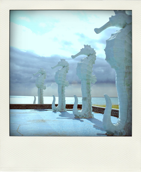 P012.jpg P012.jpg