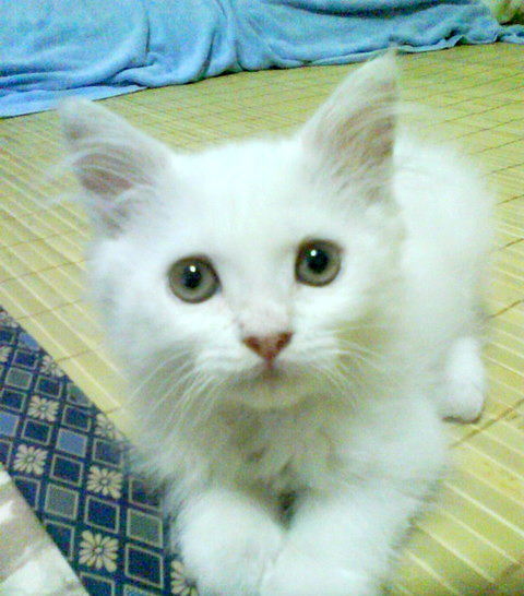 005.JPG 005.JPG