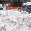 06-積雪堆起來連站牌都看不到.jpg