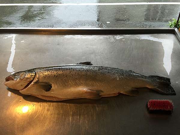 如何挑選鮭魚 鐵雄說故事專欄2 0 痞客邦
