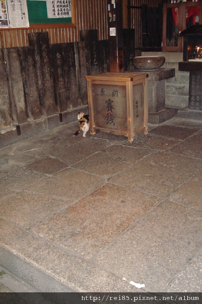 DSC02158.JPG
