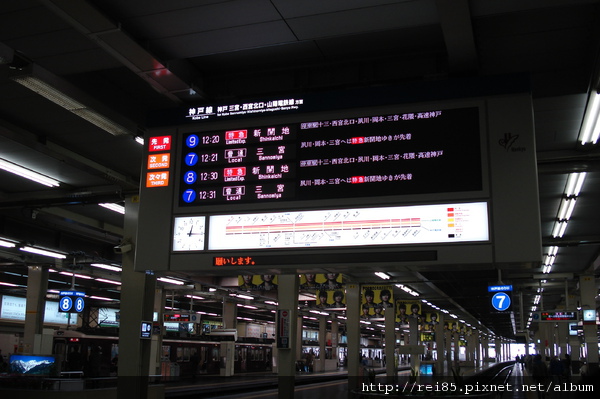 DSC02284.JPG