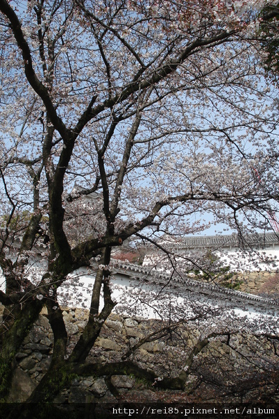 DSC02560.JPG