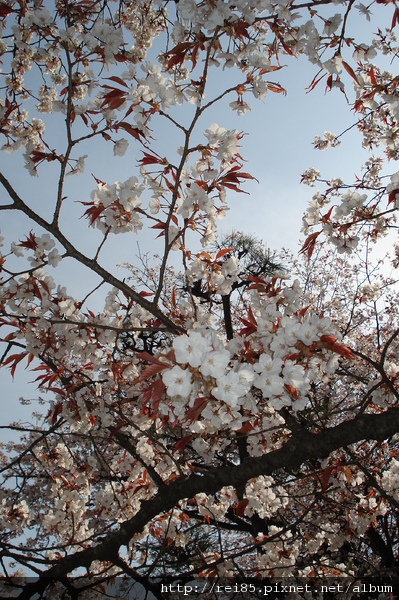 DSC02578.JPG