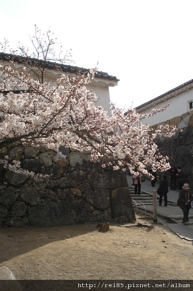 DSC02582.JPG