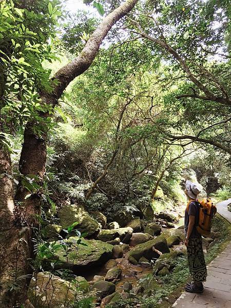 72949292_10220296098176993_2231280865126645760_o.jpg 72949292_10220296098176993_2231280865126645760_o.jpg