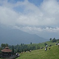 青青草原