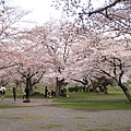 嵐山公園