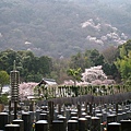 野宮神社附近的墓地