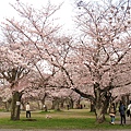 嵐山公園