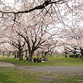 嵐山公園