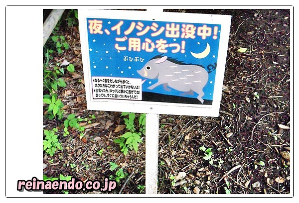 reina初めての川越。。。小江戸 0080417.jpg