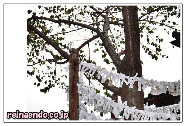 reina初めての川越。。。小江戸 0320417.jpg