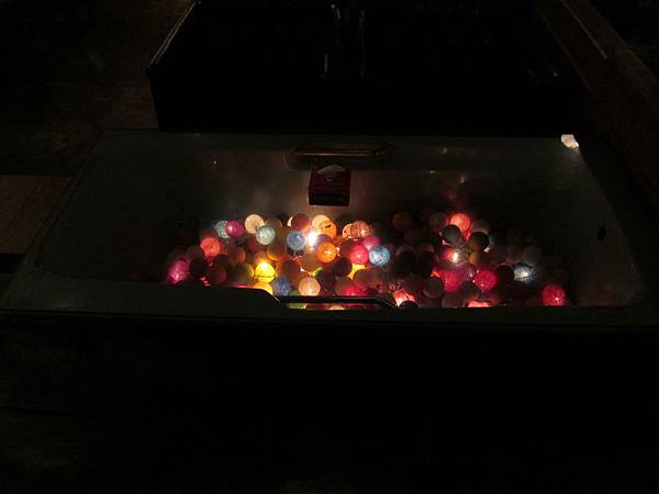 IMG_9784 IMG_9784