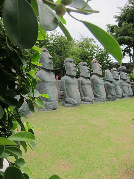 IMG_0180 IMG_0180