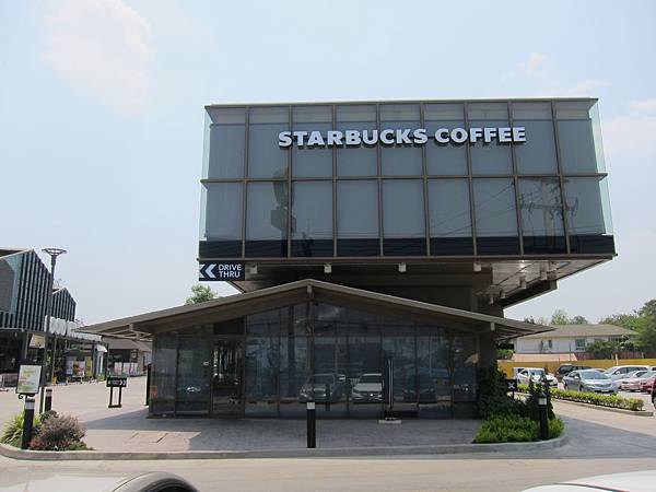 IMG_2981 IMG_2981