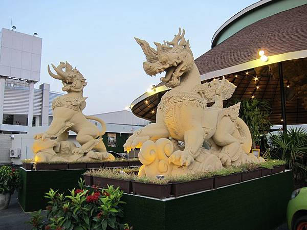 IMG_3136 IMG_3136