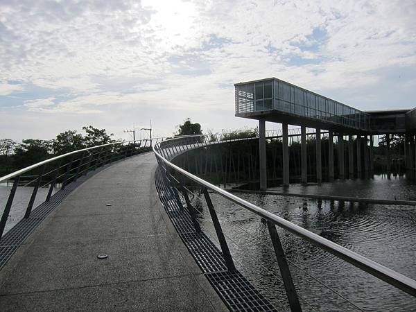 IMG_7486 IMG_7486