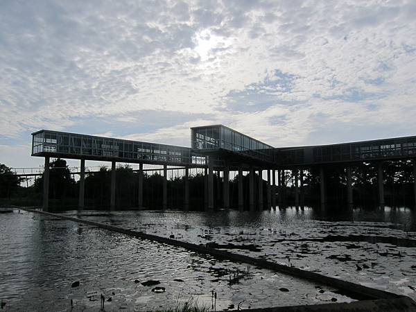 IMG_7481 IMG_7481