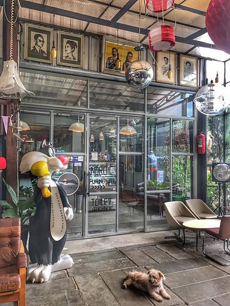 21314286_10155668313284281_5423069339413889980_n