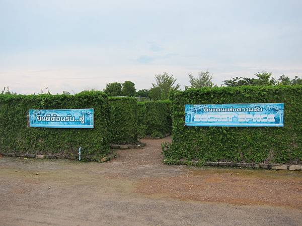 IMG_7913 IMG_7913