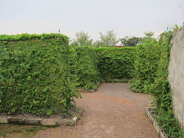 IMG_7916 IMG_7916
