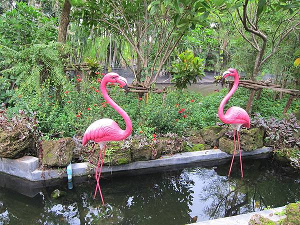 IMG_7931 IMG_7931