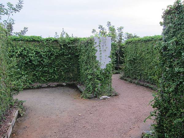 IMG_7947 IMG_7947
