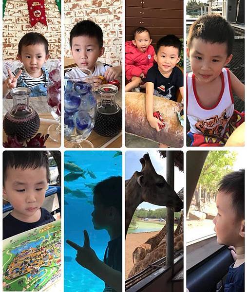 51895145_10157056269779281_1955908487187791872_n.jpg 51895145_10157056269779281_1955908487187791872_n.jpg