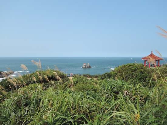 DSCN8356.JPG