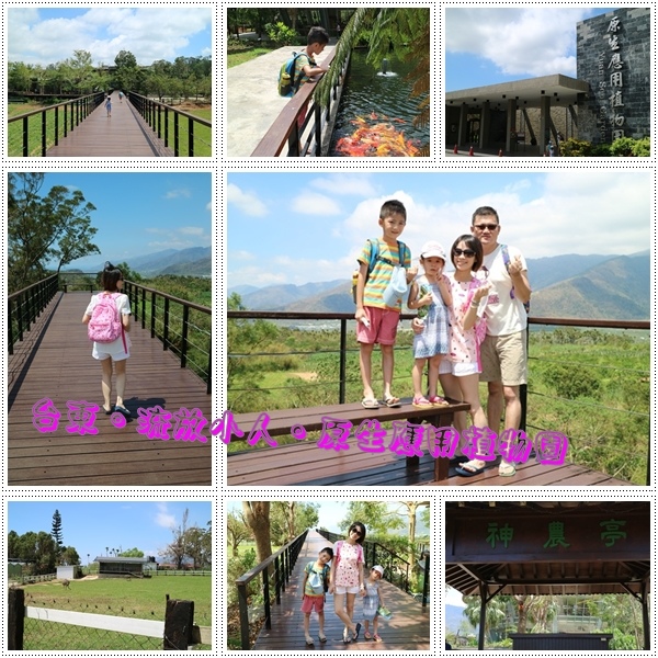 原生植物園.jpg 原生植物園.jpg