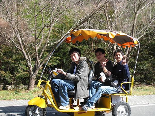 電動車遊武陵農場