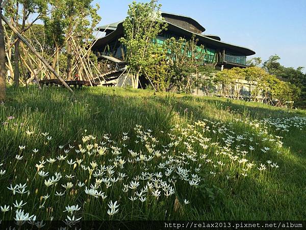 IMG_6685.JPG IMG_6685.JPG