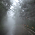 雨中北橫 080.jpg