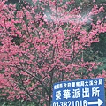 北橫榮華段 068.jpg