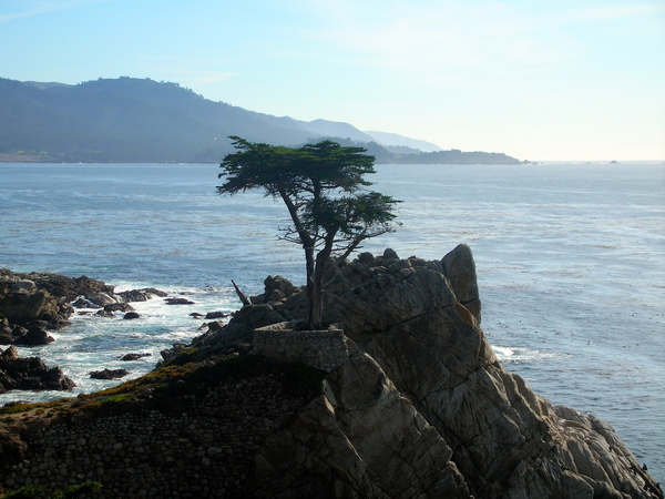 Pebble Beach-17-mile-drive 