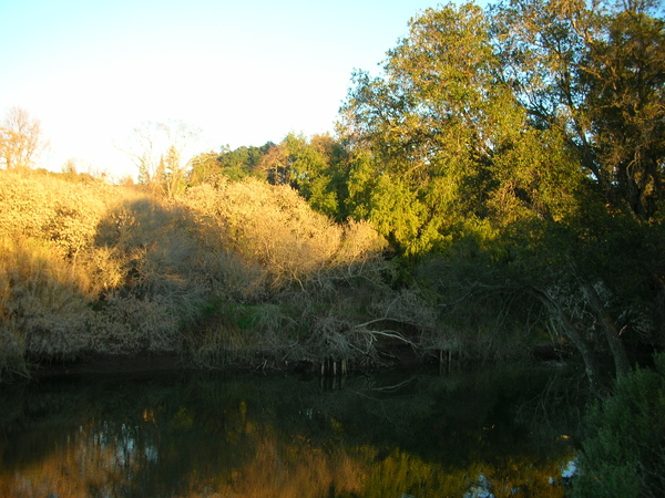 Napa river trail