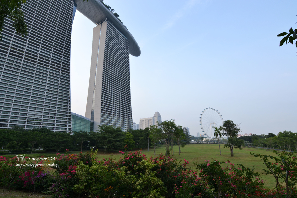 DSC_8380.JPG DSC_8380.JPG