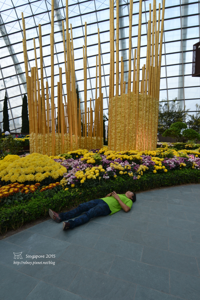 DSC_8452.JPG DSC_8452.JPG