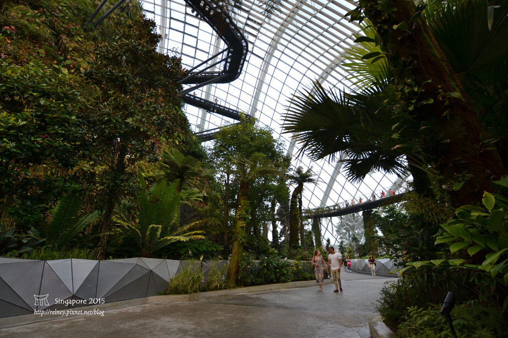 DSC_8491.JPG DSC_8491.JPG