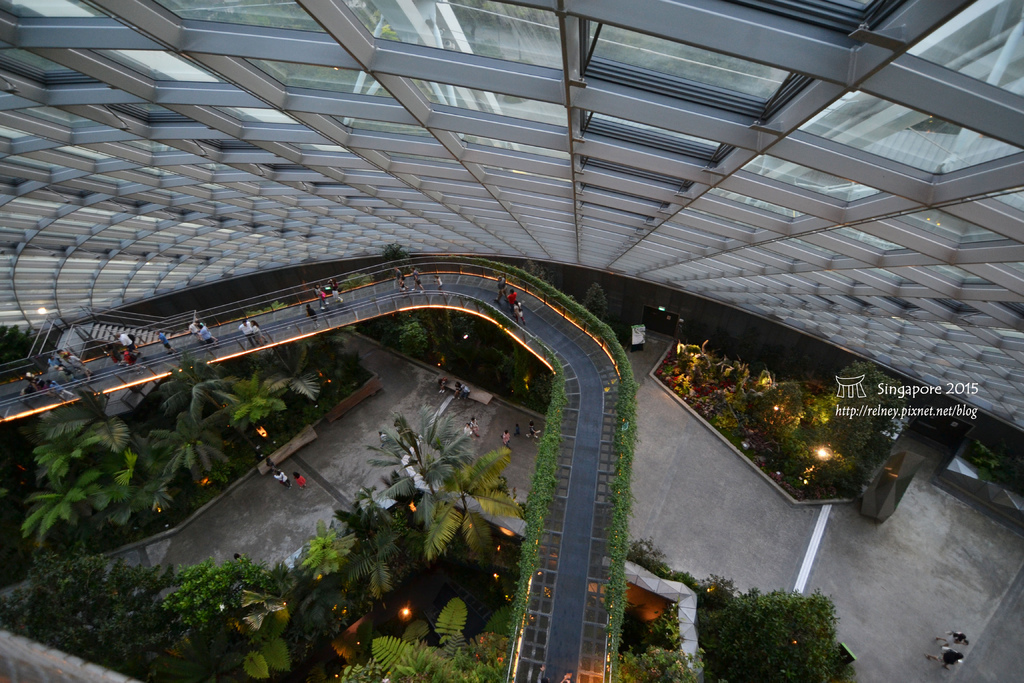 DSC_8516.JPG DSC_8516.JPG