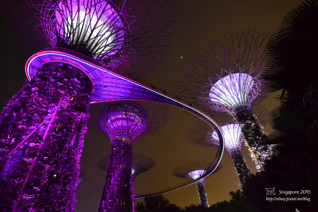 DSC_8584.JPG DSC_8584.JPG