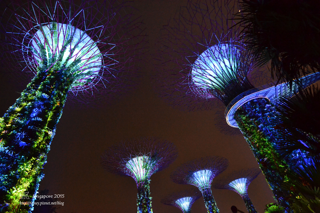 DSC_8608.JPG DSC_8608.JPG